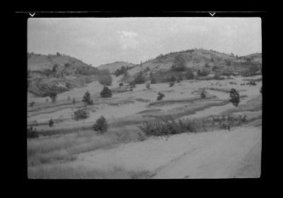 Hillside in need of erosion control, Lewis County