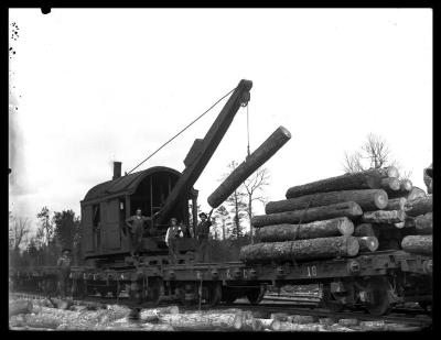 Loading Logs Onto a Train