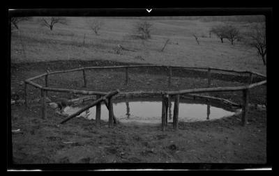 Waterhole, Tompkins County