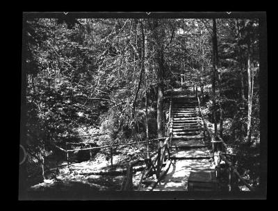 Foot trail built by CCC, Livingston County