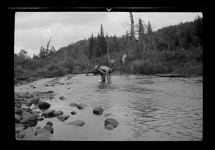 Stream improvement on Fall Brook, Lewis County