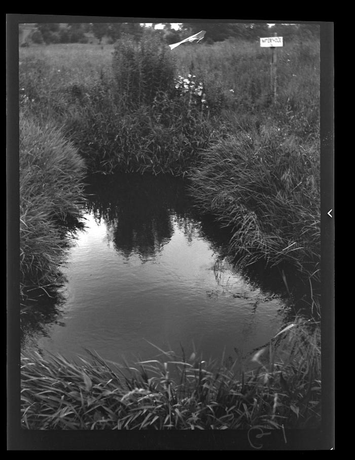 Old waterhole, Schuyler County