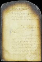 Proceedings in the case of the farmer of the excise vs. Egbert van Borsum for violation of the excise laws