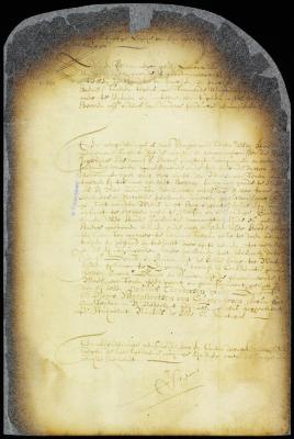 Minutes of council respecting the recent survey of the city of New Amsterdam