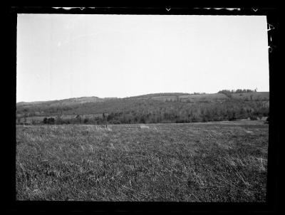 Abandoned farmland between Almond and Angelica, N.Y.