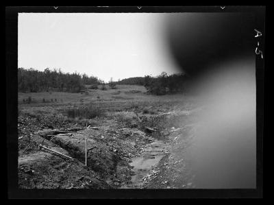 Palmer Pond, Angelica, New York