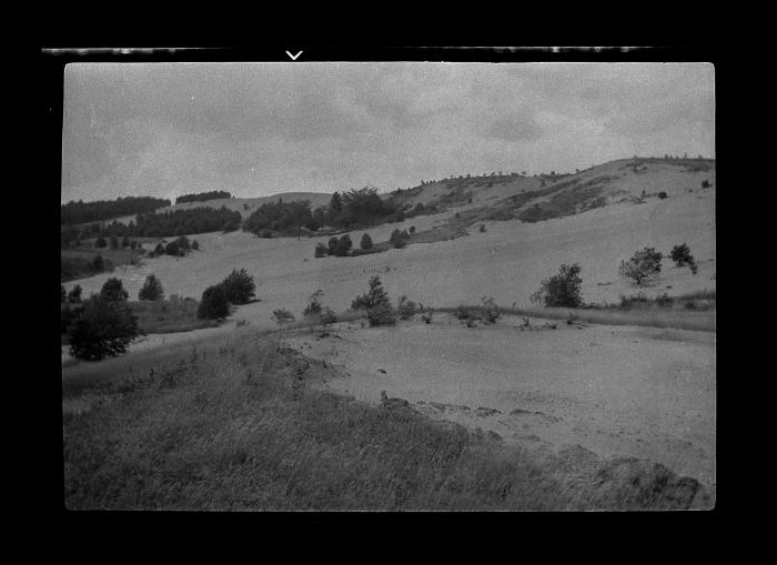 Hillside in need of erosion control, Lewis County