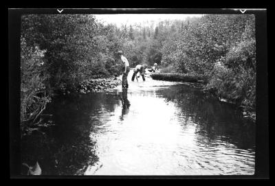 Clearing of Fall Brook by CCC, Lewis County