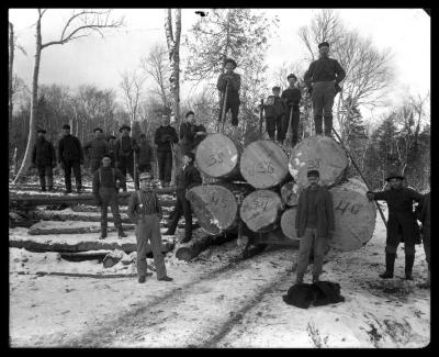 Transporting Logs