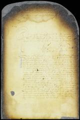 Recommendations on the suit between Warnaer Wessels and Egbert van Borsum