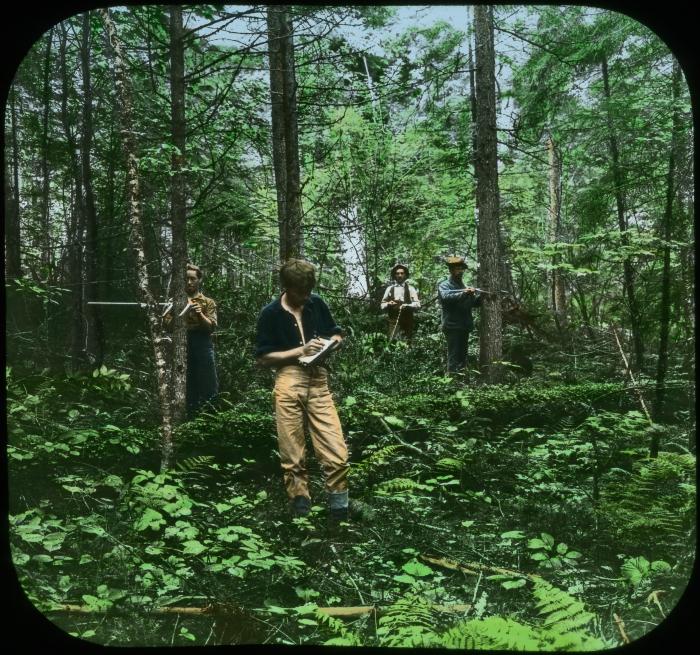 U.S. Bureau of Forestry Valuation Crew at Work