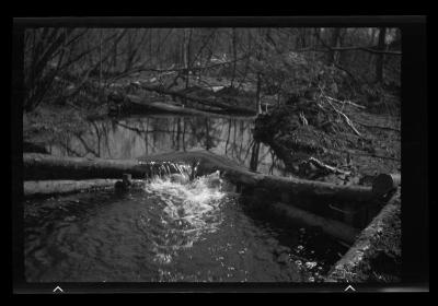 "V" dam in Trout Brook, Franklin County