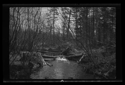 "V" dam in Trout Brook, Franklin County