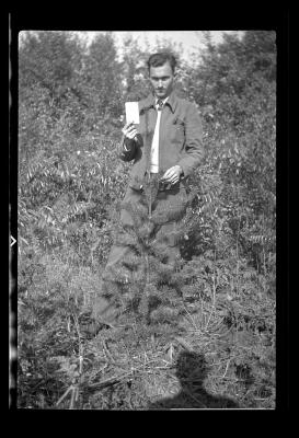 Red spruce, St. Lawrence County