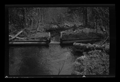 Sluice and log riffler in Trout Brook, Franklin County