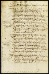 Letter from the directors to Stuyvesant