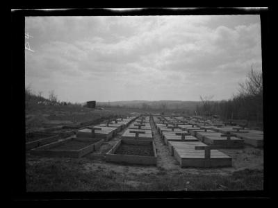 Seed beds at CCC tree nursery, Allegany County