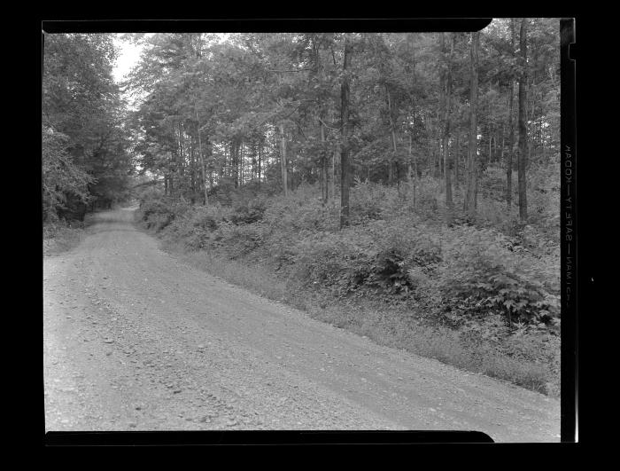 Truck trail, Brookfield, N.Y.