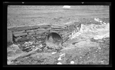 Culvert under truck trail, Tompkins County