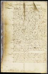 Letter from the directors to Stuyvesant