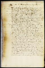 Letter from the directors to Stuyvesant