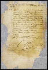 Letter from the director and council to ------- in answer to a remonstrance from Beverwyck (Albany)