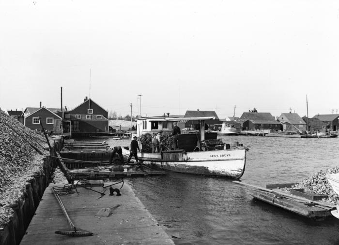 Unloading oysters from boat into floats. Sayville, Long Island.