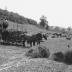 Hay Harvest, Washington County