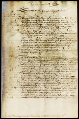 Letter from the directors to Stuyvesant