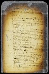 Order on a petition of Oloff Stevensen (van Cortland) respecting Wouter van Twiller's lands