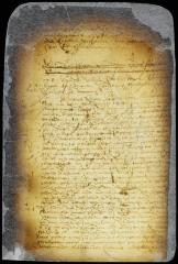 Order to the curators of the estate of Jan Damen