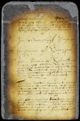 Order referring a petition of Jan Jansen Schepmoes to the fiscal