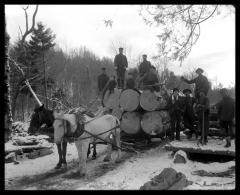 Logging Team