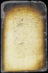 Resolution to fortify the city of New Amsterdam and send an embassy to Virginia