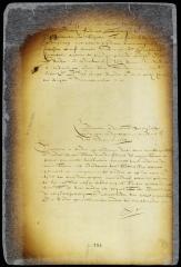 Remarks on the last petition of the convention, dated 13th December