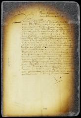 Letter of the convention to the director and council
