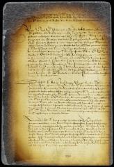 Remarks on the petition and appendices submitted to the director and council by the burgomasters and schepens