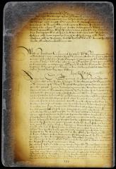 Declaration of Messrs. La Montagne and Werckhoven, that they had no knowledge of nor gave consent to a petition