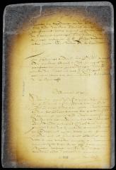 Order granting Thomas Wandel a writ of appeal