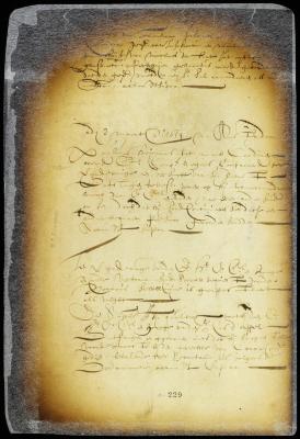 Order on application of notary Schelluyne to appear in a case of appeal