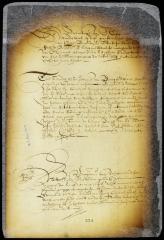 Order to the fiscal to communicate to the burgomasters and schepens