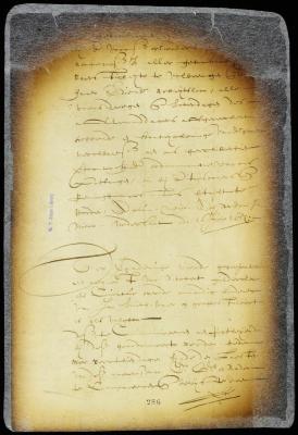Order on petition of Richard Gildersleeve; parties to appear before director and council