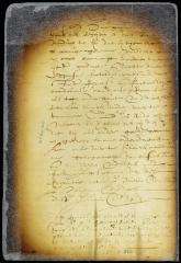 Pledge submitted by the director to the burgomasters and schepens engaging them to contribute towards the public defense