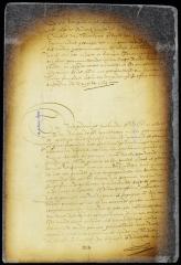 Resolution of the fiscal to subject Cornelis Willemsen to torture