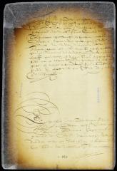 Examination of Francis Gabriel