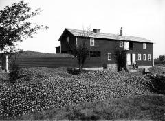 Huge pile of apples beside evaporator building, Niagara County, N.Y.