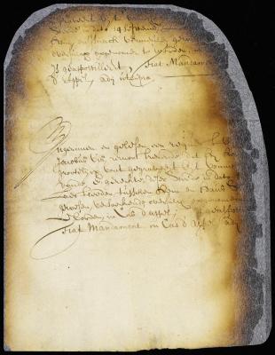 Petition of Jacobus Vis for an appeal from judgments of the court at New Amsterdam