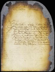 Order on a dispute between Timothy Gabry and Johannes Nevius