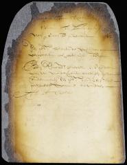 Judgment for plaintiff in the case of Johannes de Wit against Jacob Leendertsen van de Grist