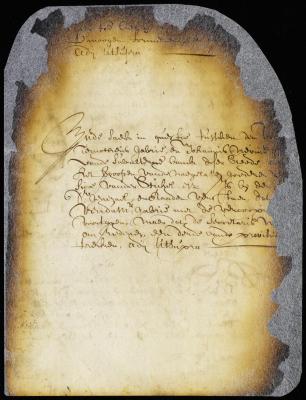 Order on a dispute between Timothy Gabry and Johannes Nevius